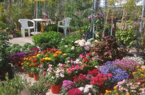 Γεωπονική επιχείρηση